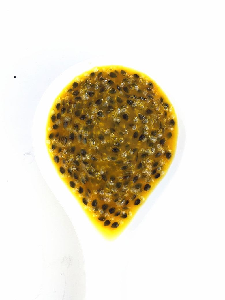 Canned Passionfruit Paste(Pulp)（850g）