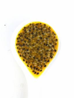 Canned Passionfruit Paste(Pulp)（850g）